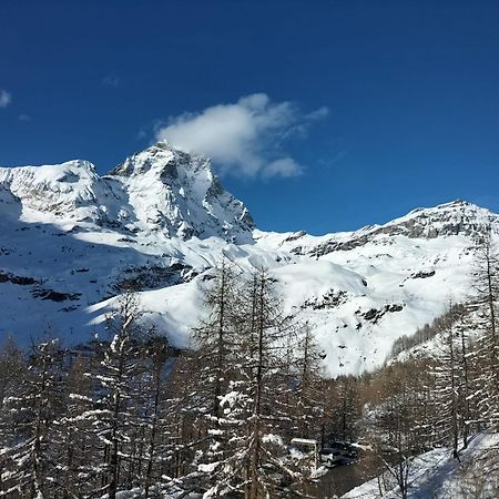 Cervinia Apartments Breuil-Cervinia Εξωτερικό φωτογραφία